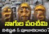 నాగుల చవితి ప్రతి సంవత్సం వచ్చే తేదిలో మార్పులు ఎందుకు? విశిష్టత? పూజ విధానం & కావాల్సిన సామగ్రి | Nag Panchami 2023 Nag Panchami Rituals & Significance