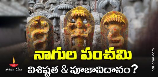 Nag Panchami Rituals & Significance