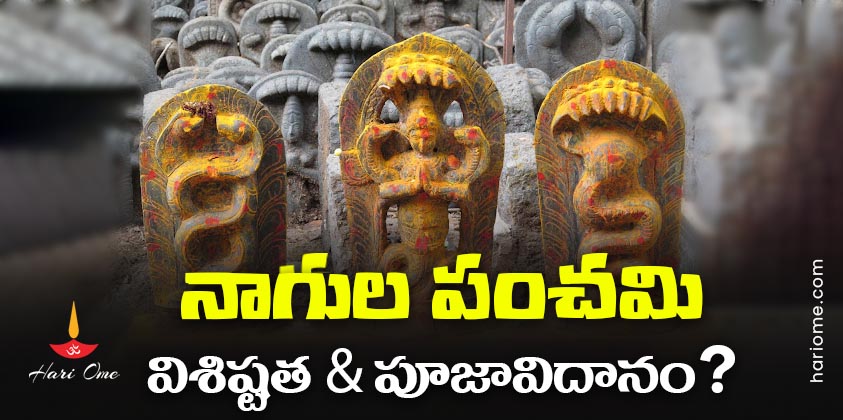 Nag Panchami Rituals & Significance