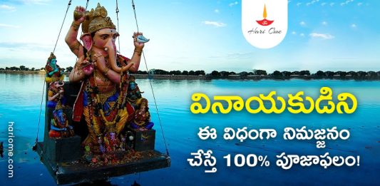 Rules and Regulations of Ganesh Immersion Process