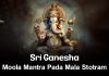 Sri Ganesha Moola Mantra Pada Mala Stotram in English | śrī gaṇēśa mūlamantrapadamālā stōtram Sri Ganesha Moola Mantra Pada Mala Stotram in English