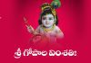 Sri Gopala Vimsathi Lyrics in Telugu | శ్రీ గోపాల వింశతిః Sri Gopala Vimsathi Lyrics in Telugu PDF