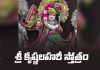 Sri Krishna Lahari Stotram Lyrics in Telugu | శ్రీ కృష్ణలహరీ స్తోత్రం Sri Krishna Lahari Stotram Lyrics in Telugu PDF