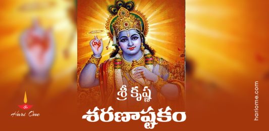 Sri Krishna Sharana Ashtakam Lyrics in Telugu PDF