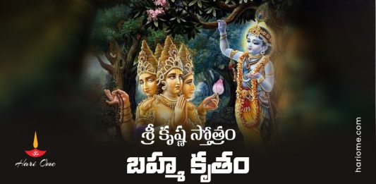Sri Krishna Stotram (Brahma Krutam) Telugu Lyrics PDF