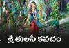 Sri Tulasi Kavacham Lyrics in Telugu | శ్రీ తులసీ కవచం Sri Tulasi Kavacham Lyrics in Telugu PDF