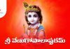 Sri Venugopala Ashtakam Lyrics in Telugu | శ్రీ వేణుగోపాలాష్టకమ్ Sri Venugopala Ashtakam Lyrics in Telugu PDF