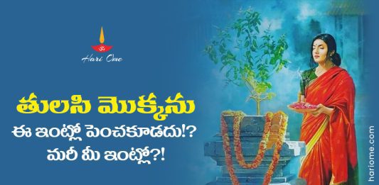 Tulasi Planting Rules