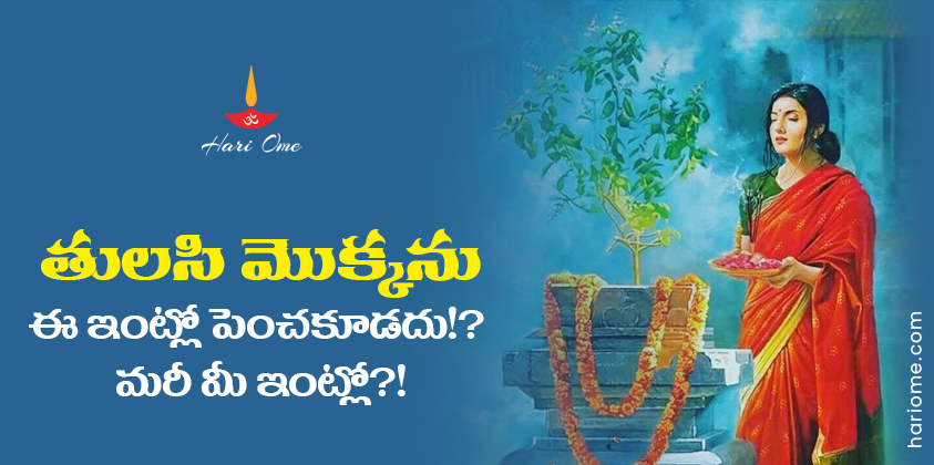 Rituals to plant Tulasi plant