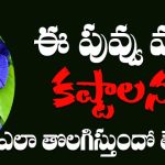 Vastu Tips For Wealth & Prosperity