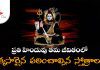 ప్రతి హిందువు తమ జీవిత కాలంలో నిత్యం పఠించవలసిన నామాలు?! | Compulsory Chanting Stotras by Everyone Compulsory Chanting Stotras by Everyone