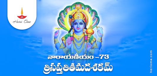 Narayaneeyam Dasakam 73 Lyrics in Telugu PDF