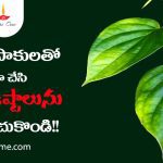 Vastu Tips With Betel Leaves