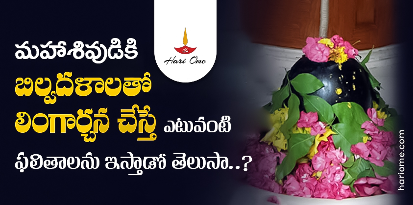 Bilvapatra to have lord shiva blessings