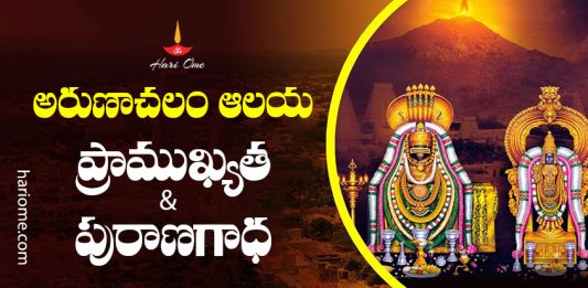 Arunachalam Temple Complete Guide