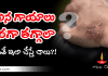 కాలిన గాయాలు త్వరగా తగ్గాలంటే ఈ చిట్కాలు ఫాలో అయితే ఫలితం మీకే తెలుస్తుంది? | Home Remedies for Burn Injuries Home Remedies for Burn Injuries