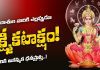 ఈ రాశుల వారికి ఎల్లప్పుడూ లక్ష్మీ కటాక్షం! వీరికి ఆకస్మిక ధనప్రాప్తి | Lakshmi Devi Always Bless These Zodiac Signs Lakshmi Devi Always Bless These Zodiac Signs