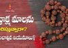 రుద్రాక్ష మాలలు ధరించే వారు కచ్చితంగా పాటించవలసిన నియమనిష్టలు | Rules for Wearing Rudraksha & Benefits Rules for Wearing Rudraksha & Benefits