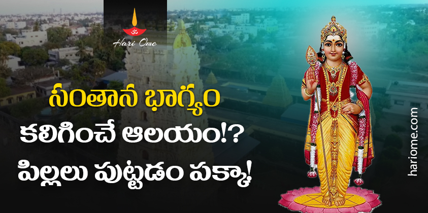 Sri Valli Devasena Subramanyeswara Swamy Temple S Annavaram