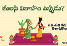 తులసి వివాహం | Tulsi Vivah 2025 Date, Puja Vidh, Significance & Story Tulsi Vivah 2023 Date, Puja Vidh, Significance & Story