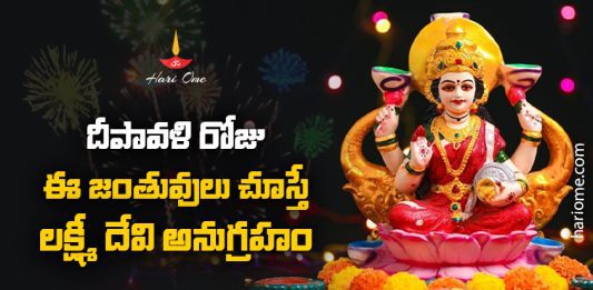 What To See on Diwali Festival?