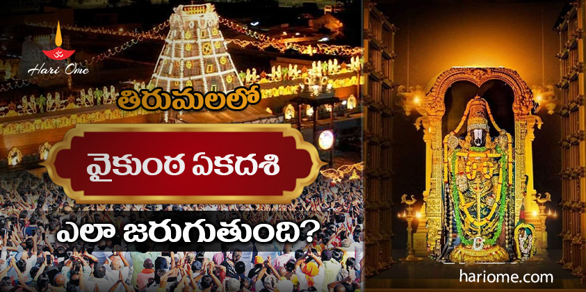 vikunta ekadashi celebrations in tirumala