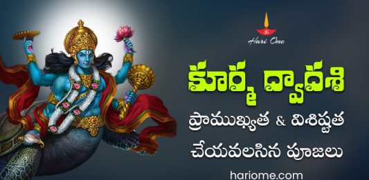 Kurma Dwadashi Rituals, Puja Vidhi, Vrat Rules, Significance