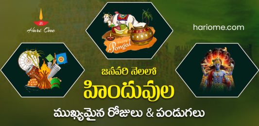 List of Hindu Festivals & Important Days in January 2024