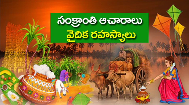 Pongal celebrations