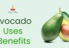 Health Benefits of Using / Eating Avocado Avocado Health Benefits