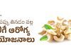 Health Benefits Of Cashew | రోజూ జీడిపప్పు తినడం వల్ల కలిగే ఆరోగ్య ప్రయోజనాలు మీ కోసం. Cashew Benefits And Nutritional Value