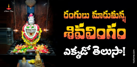 Bhimavaram Someswara Temple