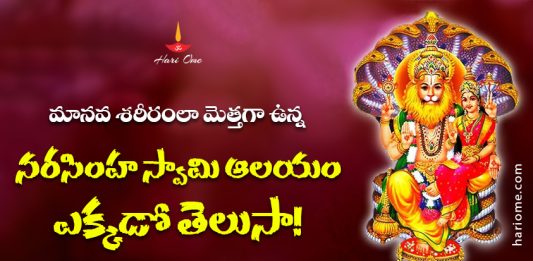 Malluru Narasimha Swamy (2)