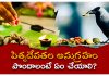 పితృదేవతల సంతుష్టి కొరకు ఏమి చేయాలి? | Things to be done for happiness of ancestors in Telugu What are the rules of Pitru Paksha? and significance