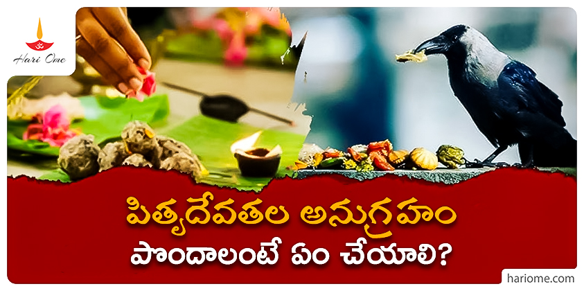 What are the rules of Pitru Paksha? and significance
