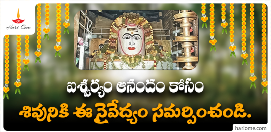 Worship Lord Shiva Like This