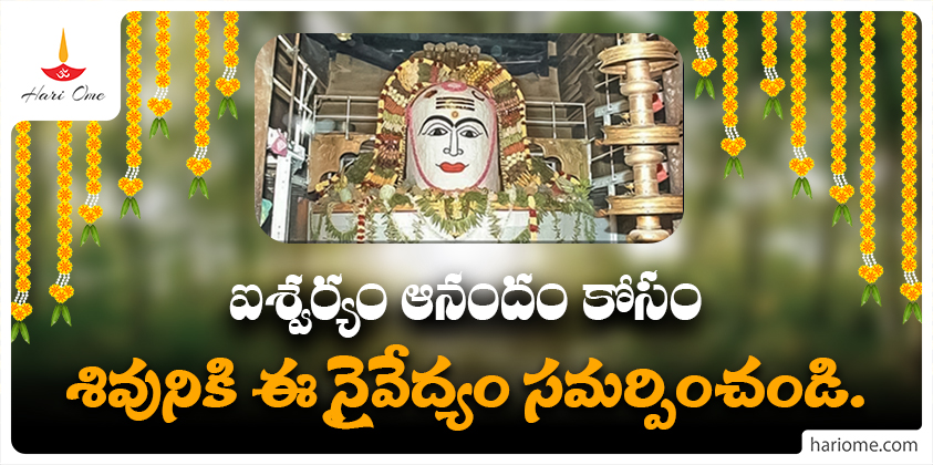 How to worship lord shiva for wealth