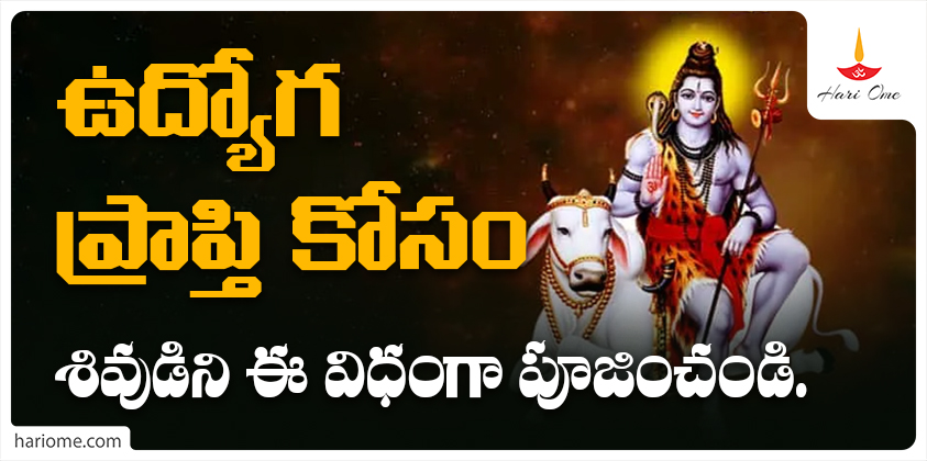 Lord Shiva should be worshiped in this way to get a job
