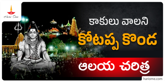Kotappa Konda temple information