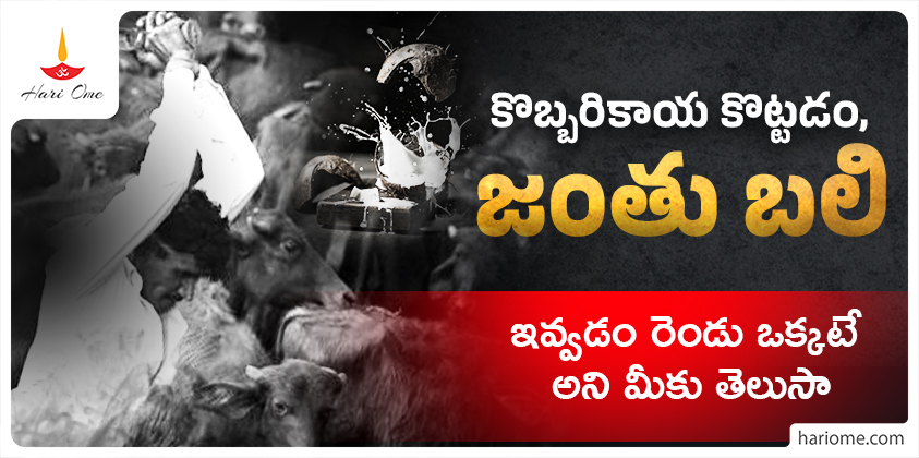 Is offering coconut and sacrificing an animal to god are similar?