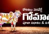 Gopashtami | కోరికలు నెరవేర్చే గోమాత పూజా విధానం, విశిష్టత Gopastami