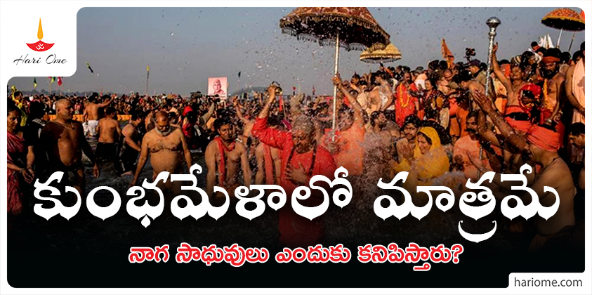 Nagasadhus in kumbh mela