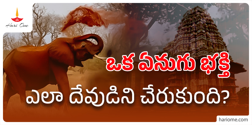 Gajendra moksham story