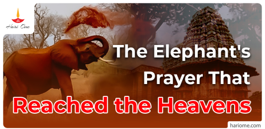 Gajendra moksha in english