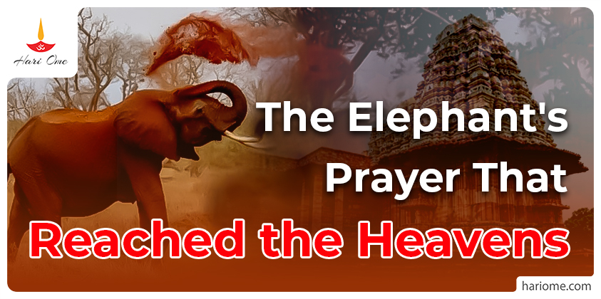 Gajendra moksha in english