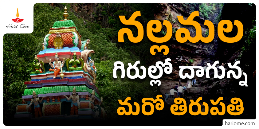 Another Tirupati Hidden in the Heart of Nallamala Hills