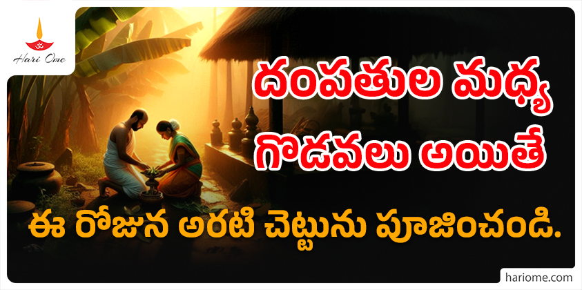వివాహ పంచమి 2024