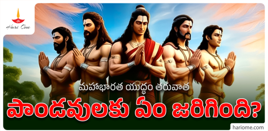 What Happened to the Pandavas After the Mahabharata War?