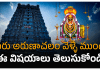 Arunachalam Temple | అరుణాచల యాత్రకు వెళ్లేముందు ఈ విషయాలు తెలుసుకోండి. Arunachalam temple