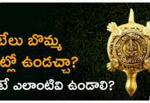 Placement of a Tortoise in Your Home as per Vastu Shastra | తాబేలు బొమ్మ ఇంట్లో ఉండచ్చా? ఉంటే ఎలాంటివి ఉండాలి? Vastu Tips